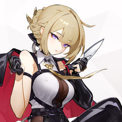 This is a pixiv picture whose title is Evelyn.