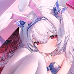 This is a pixiv picture whose title is 每个月的白丝/黑丝（2024.12）.
