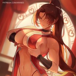 This is a pixiv picture whose title is Mai Shiranui.