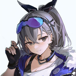 This is a pixiv picture whose title is 銀狼.