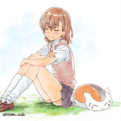 This is a pixiv picture whose title is 美琴とニャンコ先生.