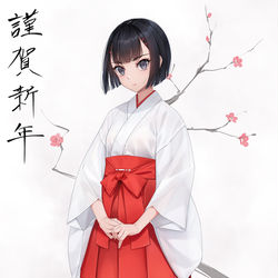 This is a pixiv picture whose title is お正月は巫女.