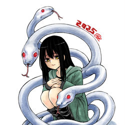This is a pixiv picture whose title is 巳年.