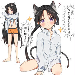 This is a pixiv picture whose title is 猫耳は世界を救う.