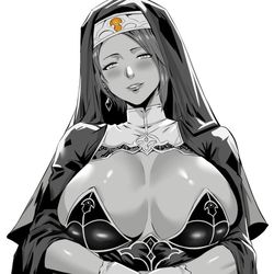 This is a pixiv picture whose title is High Priest Zero.