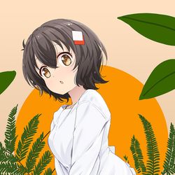 This is a pixiv picture whose title is 2025_01_05 はいふり.