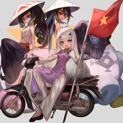 This is a pixiv picture whose title is VIỆT NAM VÔ ĐỊCH.