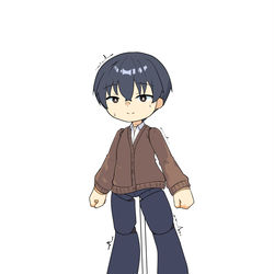This is a pixiv picture whose title is 人形化2.