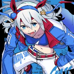 This is a pixiv picture whose title is タマモクロス.