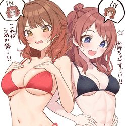 This is a pixiv picture whose title is 中身が入れ替わってしまった花海姉妹.