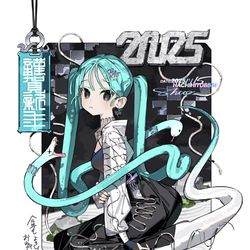 This is a pixiv picture whose title is 🐍2025🐍.