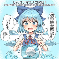 This is a pixiv picture whose title is 1/20はシマエナガの日！.