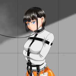 This is a pixiv picture whose title is 囚人.