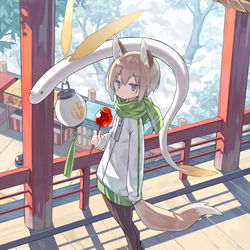 This is a pixiv picture whose title is きつねと巳.
