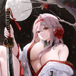 This is a pixiv picture whose title is Scarlet Black Shadow.