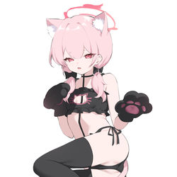 This is a pixiv picture whose title is Koharu Cat.
