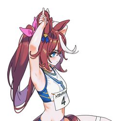 This is a pixiv picture whose title is Teio.
