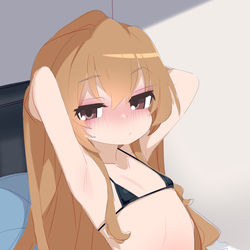 This is a pixiv picture whose title is 逢坂大河 250203.