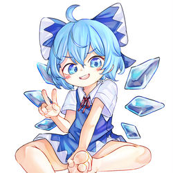 This is a pixiv picture whose title is 琪露诺.
