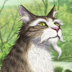 This is a pixiv picture whose title is じじい猫.