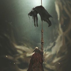 This is a pixiv picture whose title is Blade of Miquella.