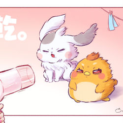 This is a pixiv picture whose title is 乾燥🐰🐥.