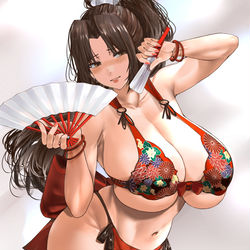 This is a pixiv picture whose title is 不知火舞.