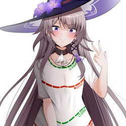 This is a pixiv picture whose title is The Herta.