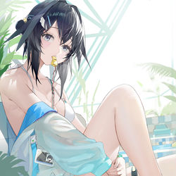 This is a pixiv picture whose title is 羽毛笔.