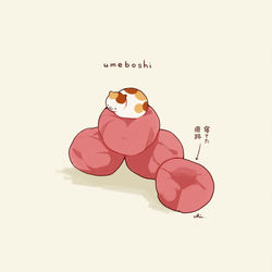 This is a pixiv picture whose title is 梅干し.