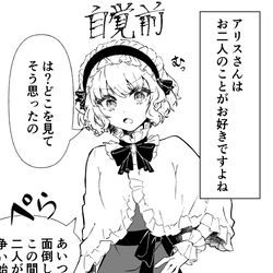 This is a pixiv picture whose title is 二人のことが大好きなアリスさん＋おまけ.