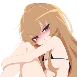This is a pixiv picture whose title is 逢坂大河 250219.