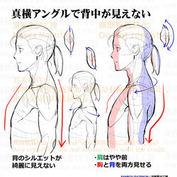 This is a pixiv picture whose title is 個人メモ：真横アングルの肩周り.
