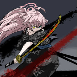 This is a pixiv picture whose title is 小鳥遊ホシノ×黒雲会.