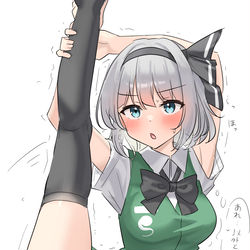 This is a pixiv picture whose title is 妖夢「庭師ならこれぐらい出来て当然です！」.