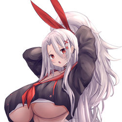 This is a pixiv picture whose title is プリンツハインリヒ.