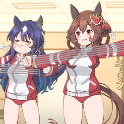 This is a pixiv picture whose title is ジェンティルに張り合おうとするヴィルシーナ姉さんすき.