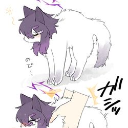 This is a pixiv picture whose title is 背伸びハルカ猫.