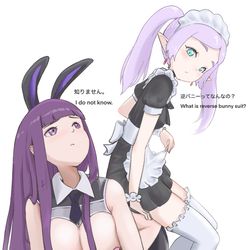 This is a pixiv picture whose title is 25−30 バニーとメイド.