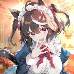 This is a pixiv picture whose title is メイドキタちゃん.