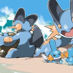 This is a pixiv picture whose title is Mudkip and Swampert.
