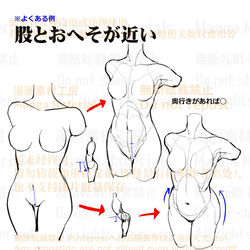 This is a pixiv picture whose title is 個人メモ：胴体（前面）のポイント.