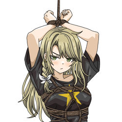 This is a pixiv picture whose title is skebリクエスト.