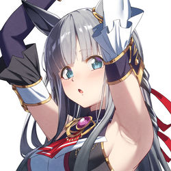 This is a pixiv picture whose title is クロノジェネシス.