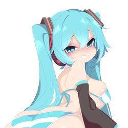This is a pixiv picture whose title is 初音ミク 250309.
