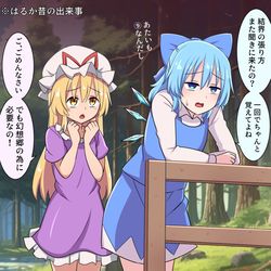 This is a pixiv picture whose title is 紫様よりチルノちゃん年上説.