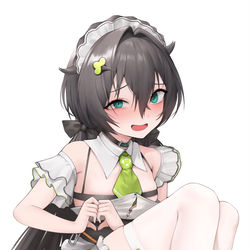 This is a pixiv picture whose title is メイドトロニー.