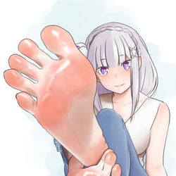 This is a pixiv picture whose title is エミリア.