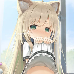 This is a pixiv picture whose title is skeb_おもらし猫.