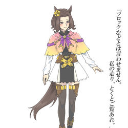 This is a pixiv picture whose title is ーーそれこそが真実。.